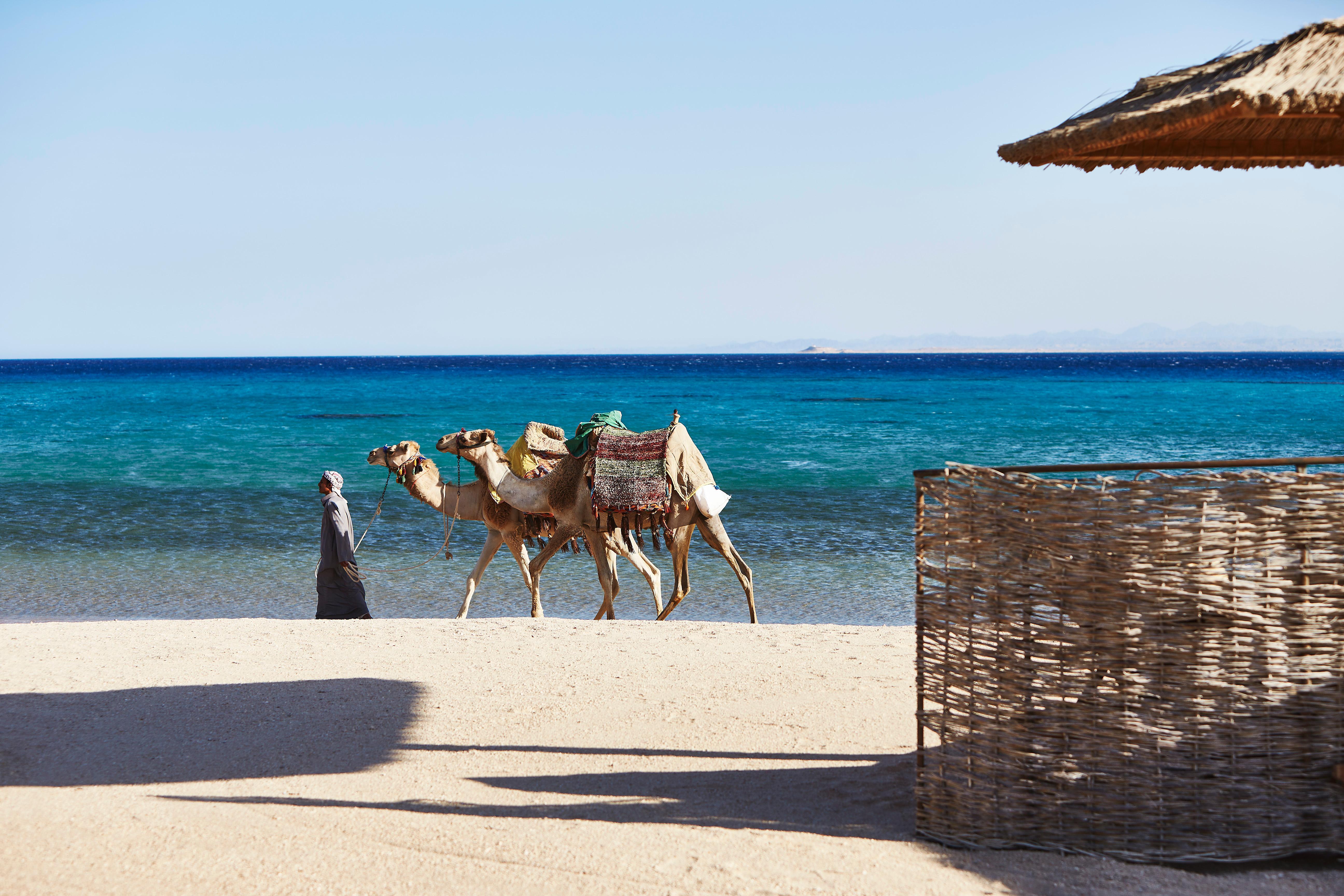 Kempinski Hotel Soma Bay Esterno foto A beach in Marsa Alam