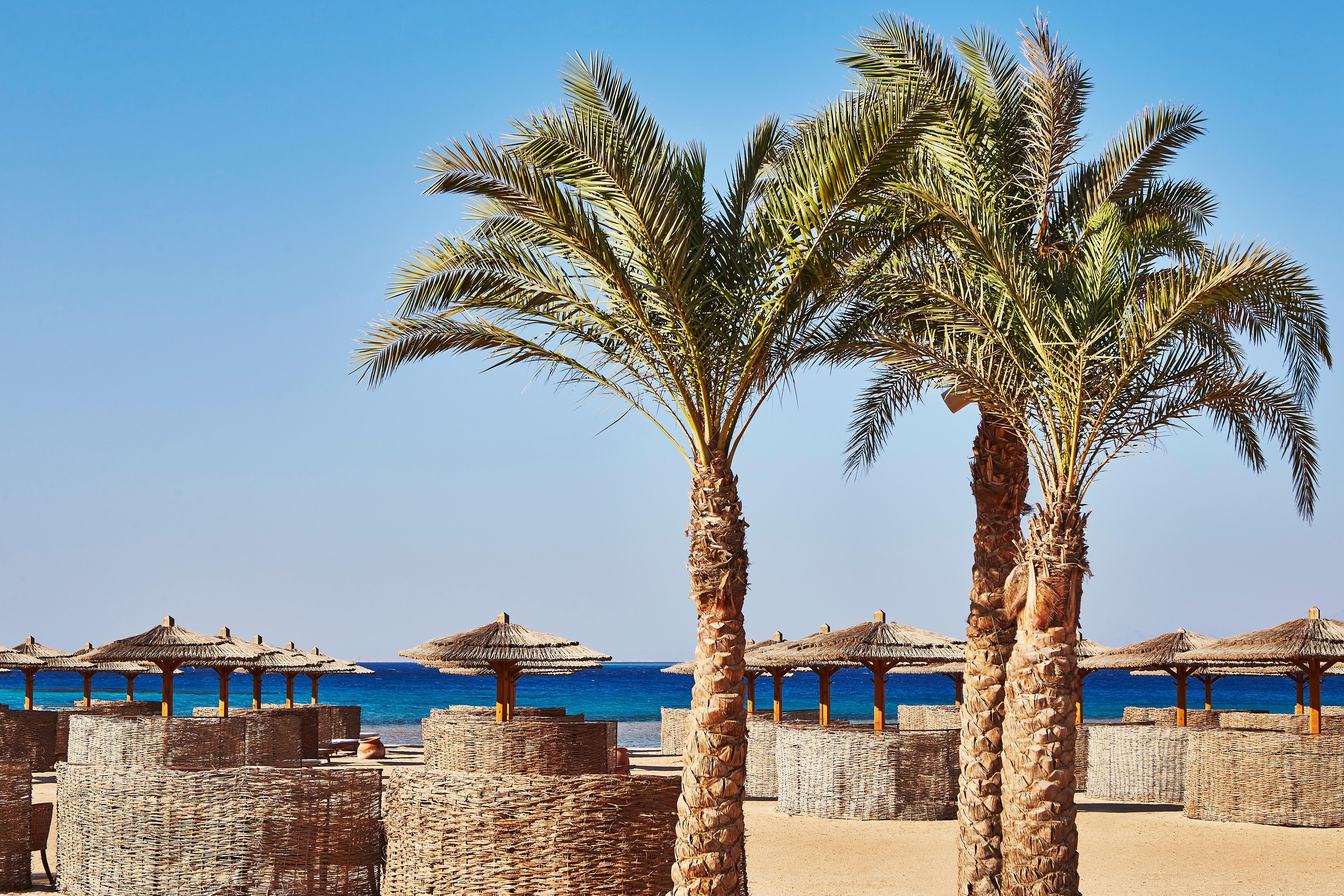 Kempinski Hotel Soma Bay Esterno foto Palm trees on the beach of the Red Sea
