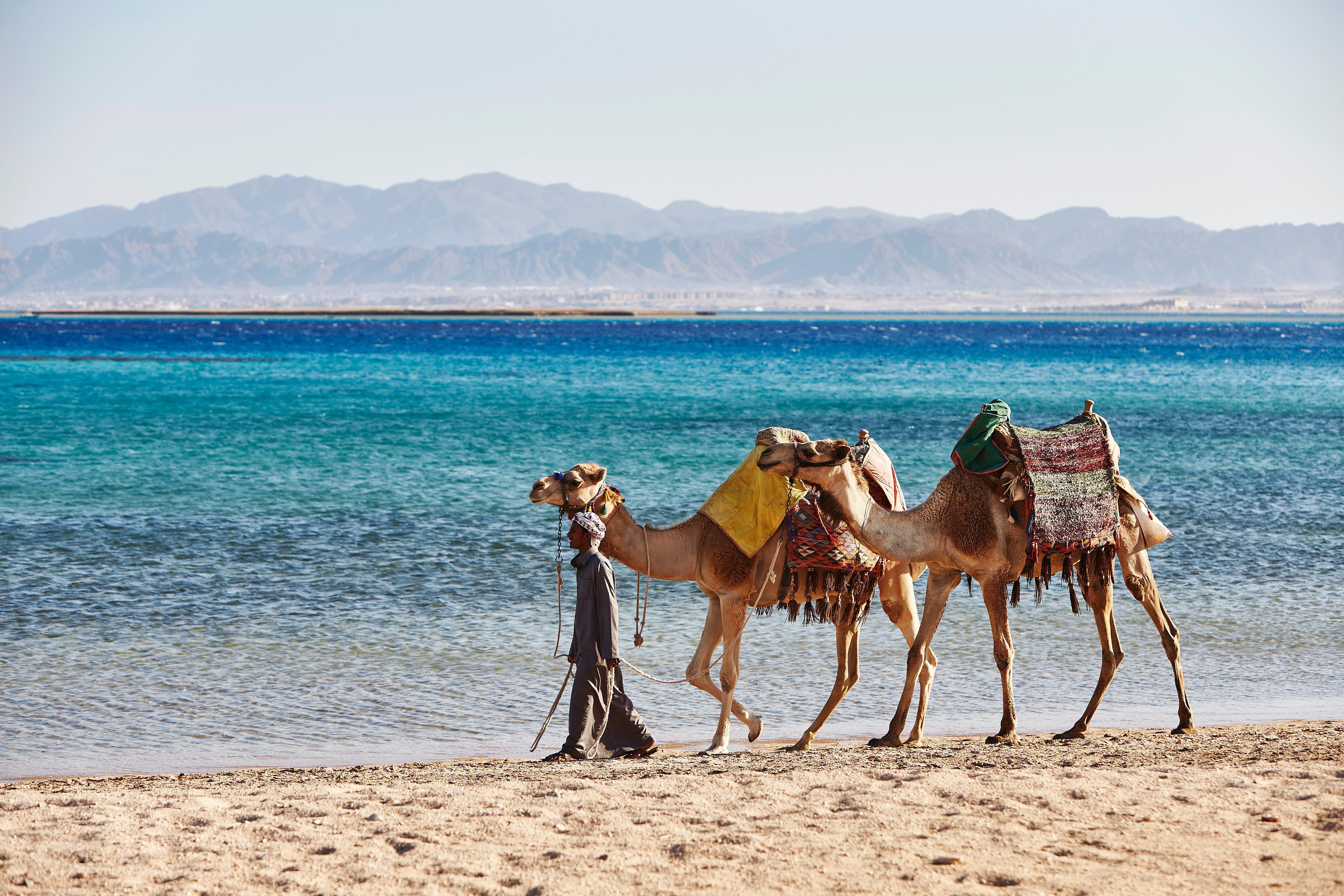 Kempinski Hotel Soma Bay Esterno foto The Red Sea